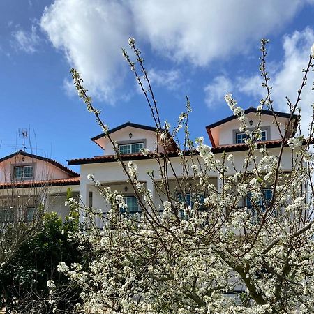 Majo Alojamento Local Bed & Breakfast Tábua Dış mekan fotoğraf