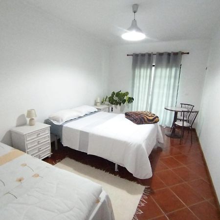 Majo Alojamento Local Bed & Breakfast Tábua Dış mekan fotoğraf