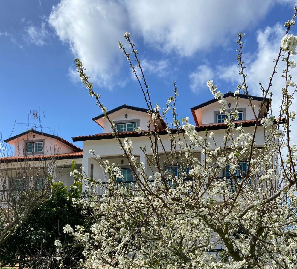 Majo Alojamento Local Bed & Breakfast Tábua Dış mekan fotoğraf