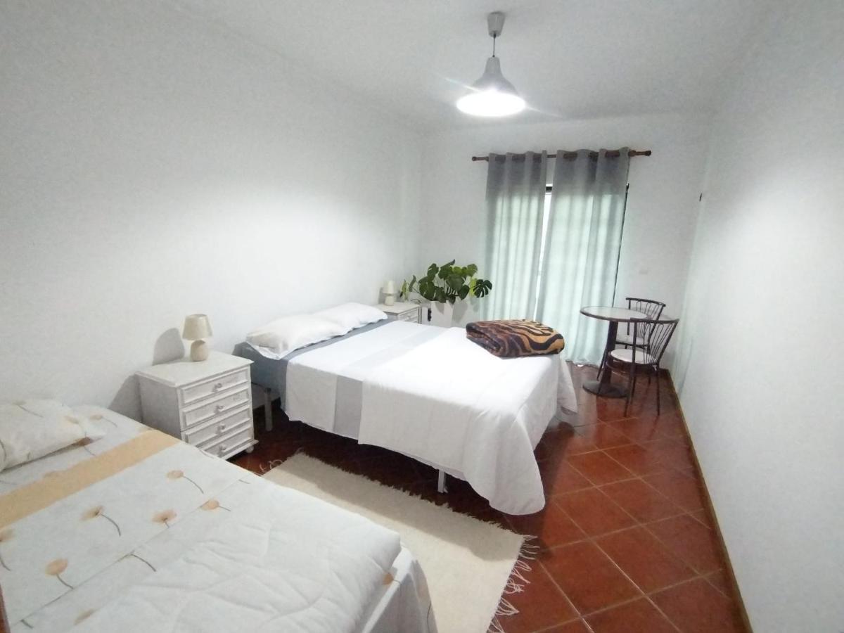 Majo Alojamento Local Bed & Breakfast Tábua Dış mekan fotoğraf